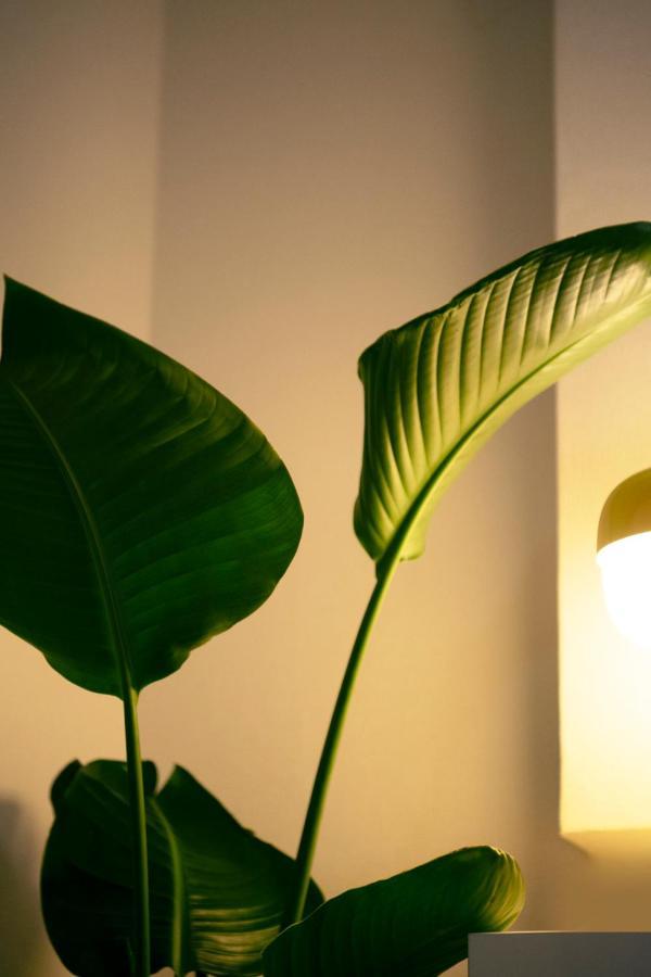 #9 3Mins To Station 1Stop To Shinjuku Stylish Apartment With Plenty Of Sunlight Tokio Zewnętrze zdjęcie